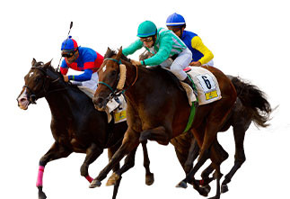 8 bottles of 200ml of 20 doses